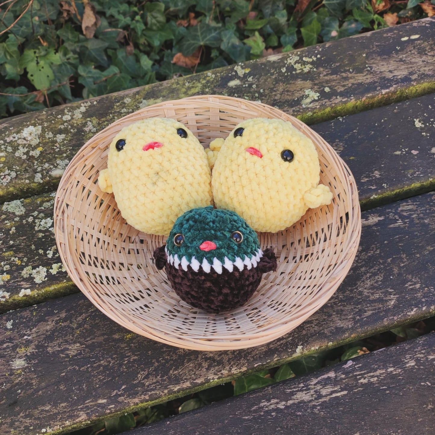 petites peluches poussins canard
