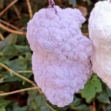 porte-clés gummy bear violet