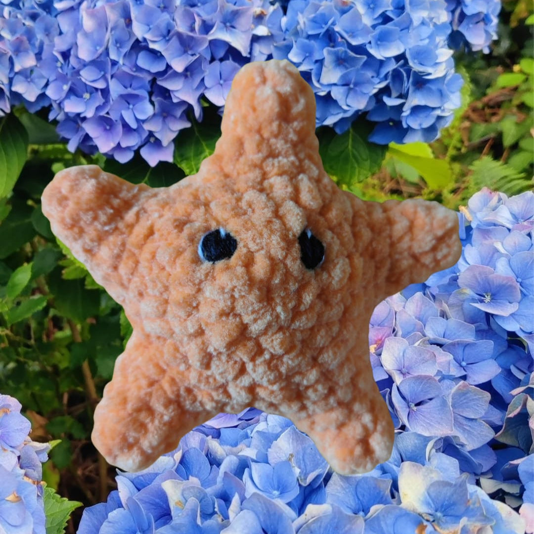 petite peluche étoile de mer orange
