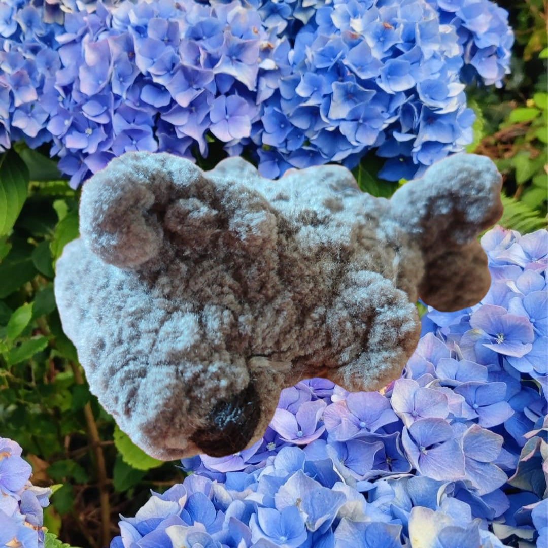 petite peluche requin marteau gris