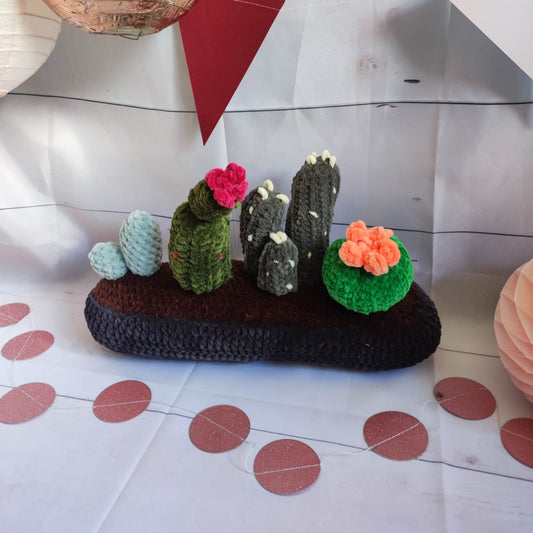 gros cactus
